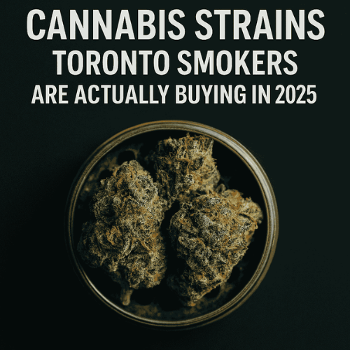 Top 5 Cannabis Strains Loved by Toronto Locals in 2025