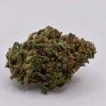 Close-up of Super Silver Haze AAAA- hybrid cannabis flower with trichomes