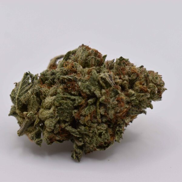 Close-up of Super Silver Haze AAAA- hybrid cannabis flower with trichomes