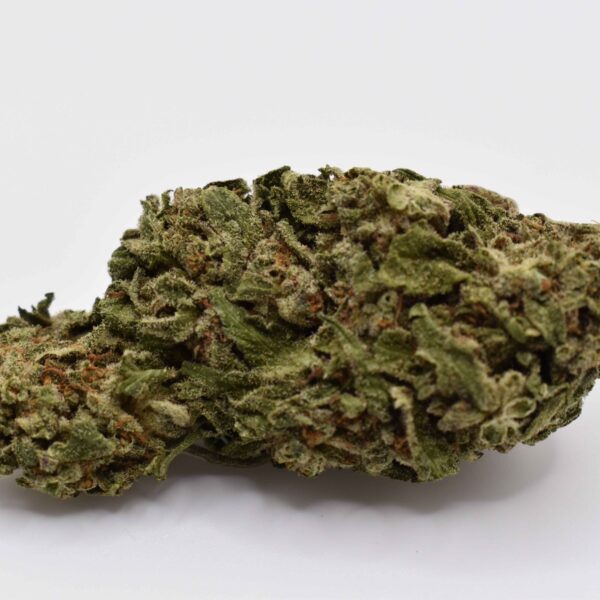 Super Silver Haze AAAA- sativa-dominant hybrid cannabis buds – Silly Smoke Toronto